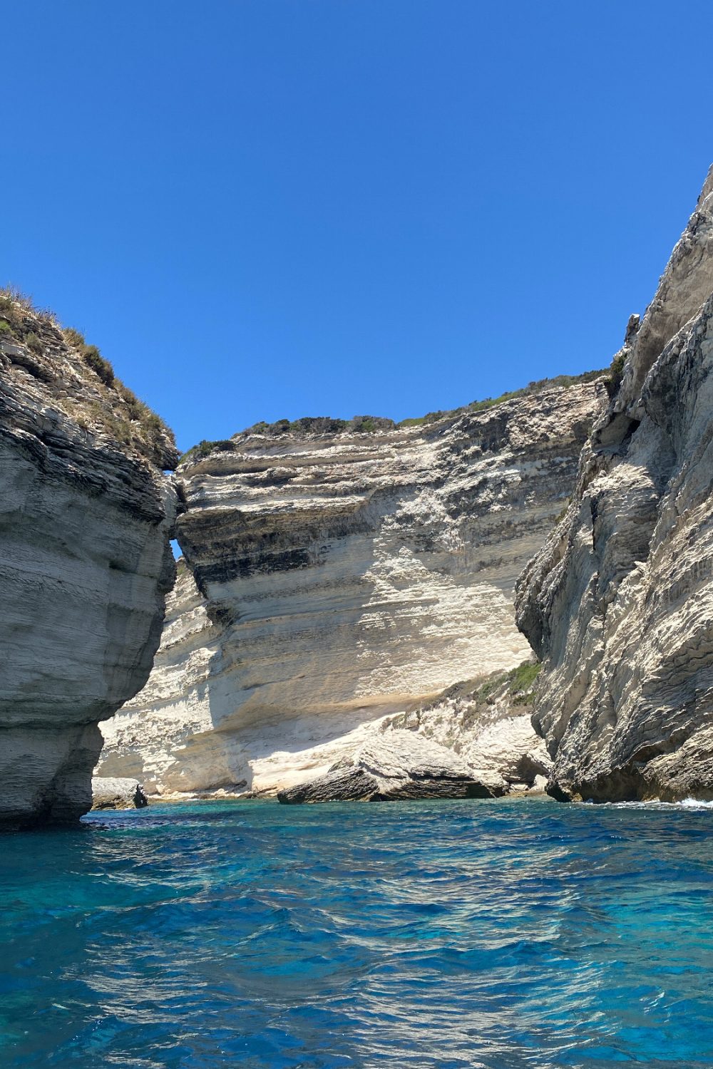 43D756AD-C153-4CE8-A454-C605A19DCF9E