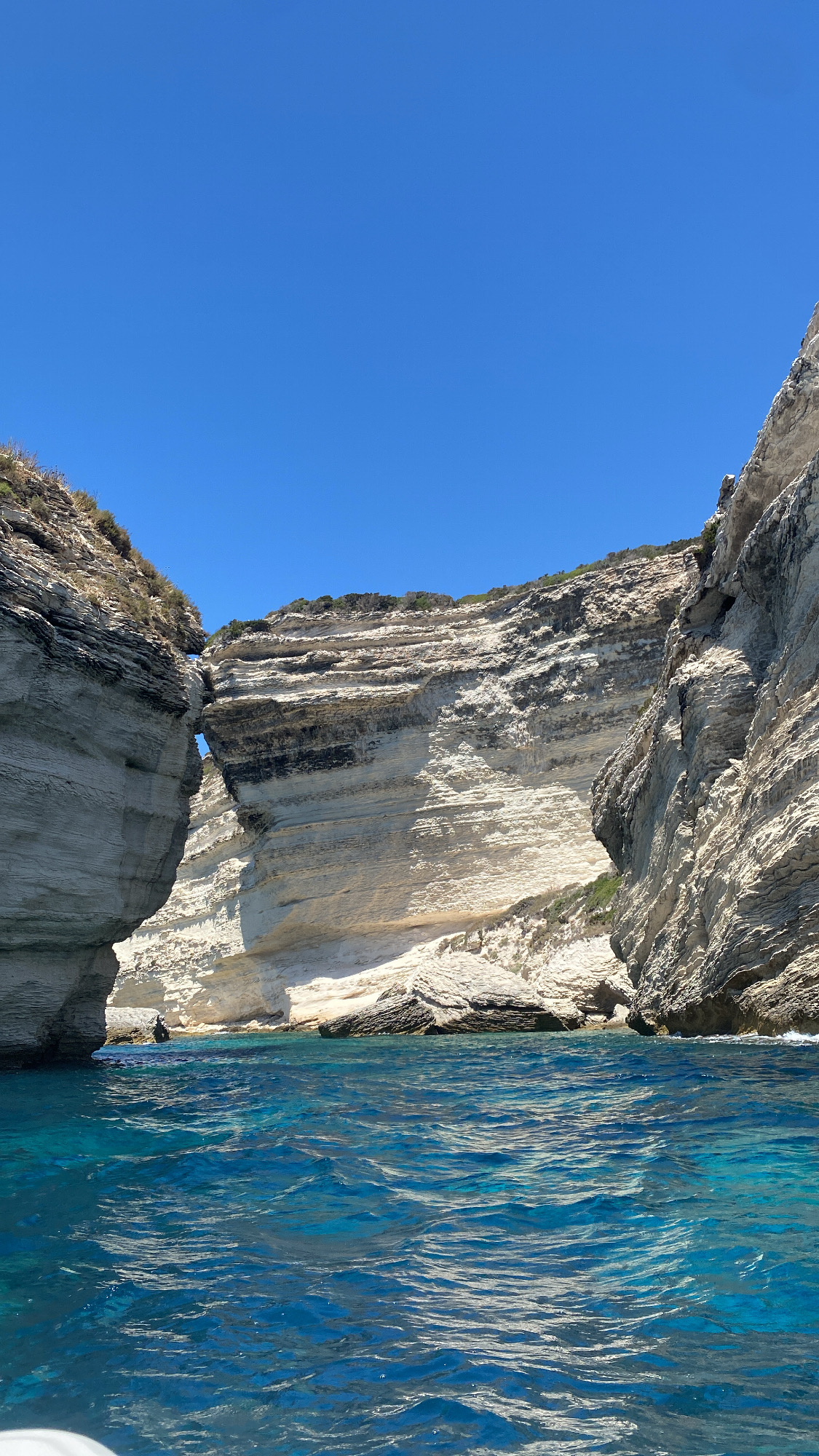 43D756AD-C153-4CE8-A454-C605A19DCF9E